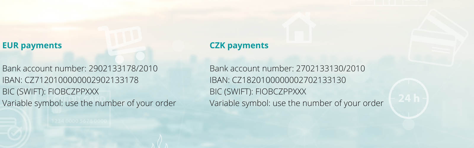 Payment details-3